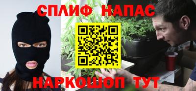 гидра Гатчина