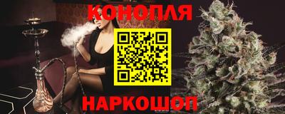 гидра Гатчина