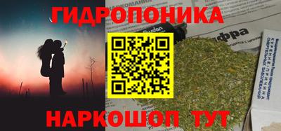 таблы Гай