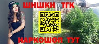гидра Гатчина