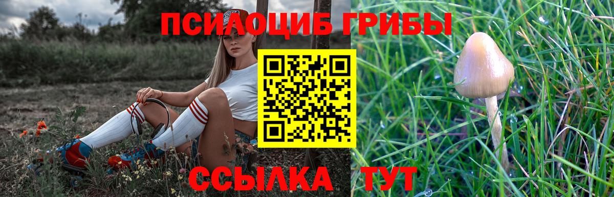 купить   Галлюциногенные грибы прущие грибы  Каменка  Вход с VPN  Галлюциногенные грибы Magic Shrooms 