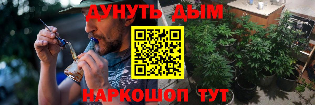 Бошки Шишки VHQ  Вход с VPN  Канабис индика  Каменка  Бошки марихуана индика 